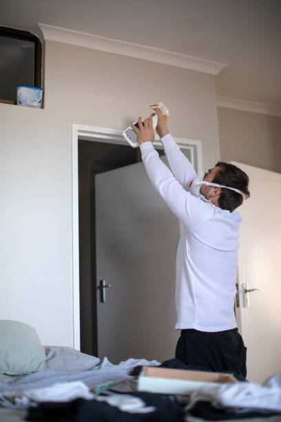 Best Mold Damage Restoration  in Palm Beach Shores, FL