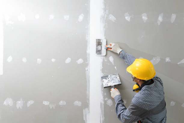 Best Asbestos and Lead Testing During Mold Inspection  in Palm Beach Shores, FL