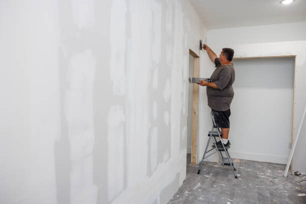Professional Mold Removal in Palm Beach Shores, FL