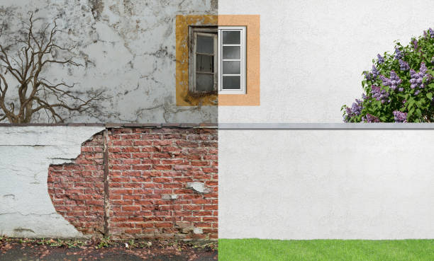 Best Forensic Mold Investigation  in Palm Beach Shores, FL