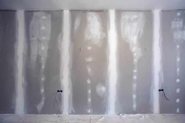 Best Real Estate Mold Inspection  in Palm Beach Shores, FL